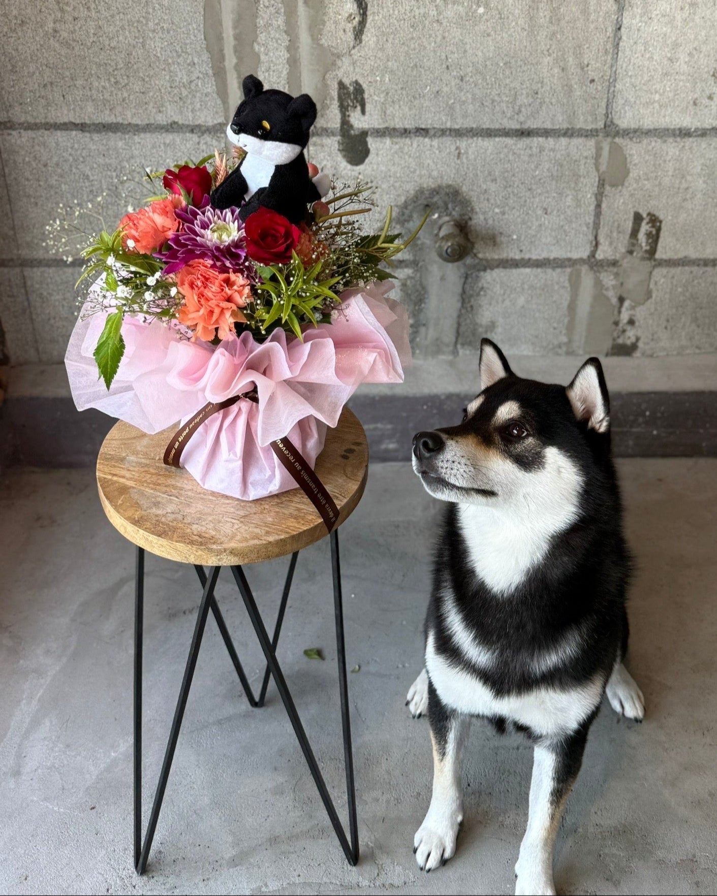 そのままブーケ【 柴男】マスコット 付き🐶