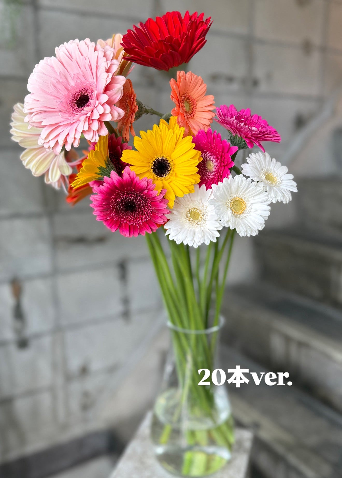 さかもと生花園厳選 ガーベラ【4月のお花】