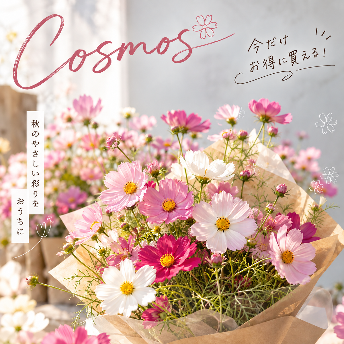 コスモスフェア【10月のお花】