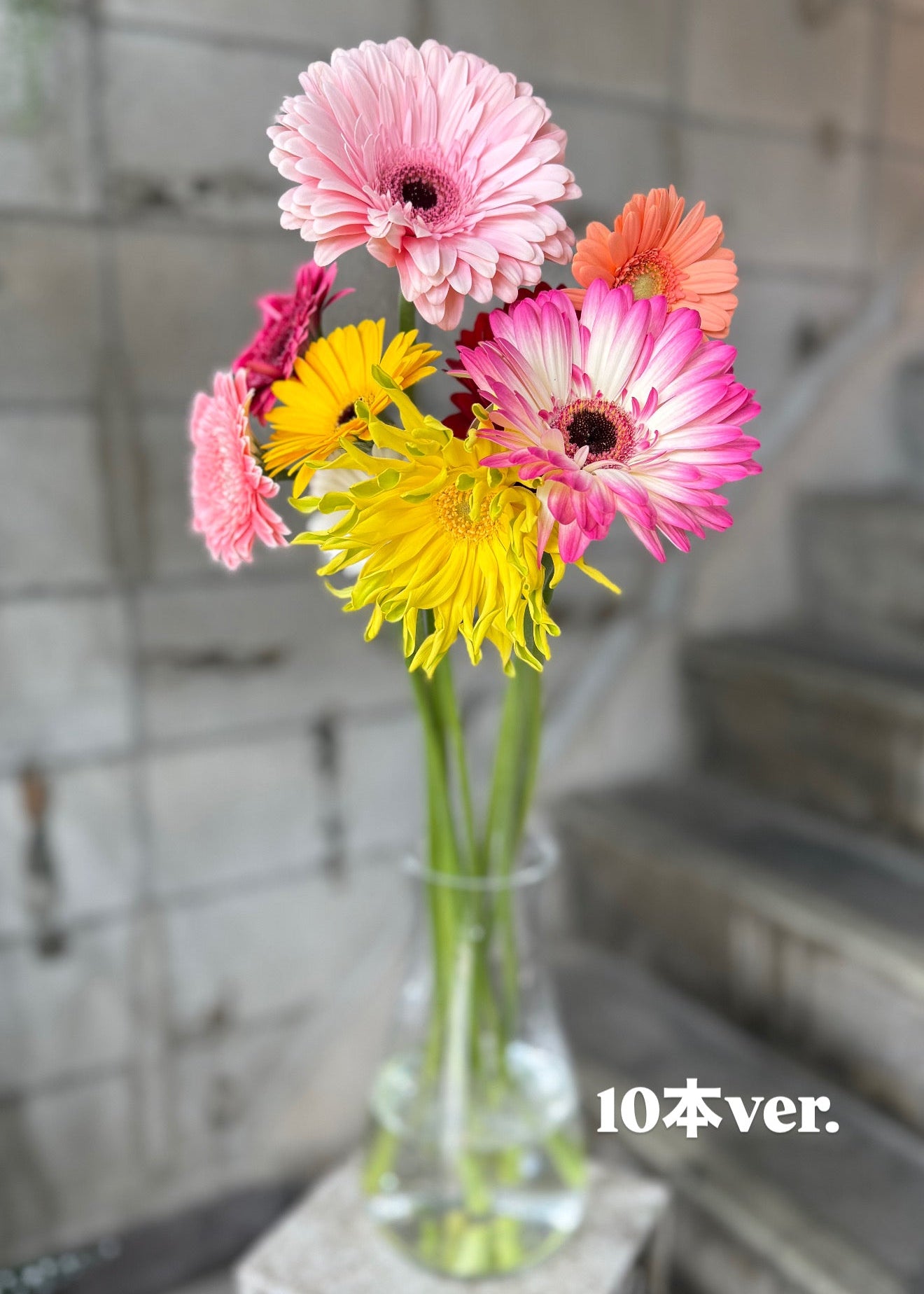 さかもと生花園厳選 ガーベラ【4月のお花】