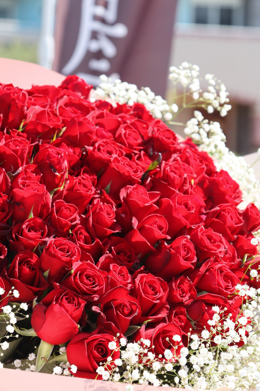 かすみ草を追加【100・108本限定】