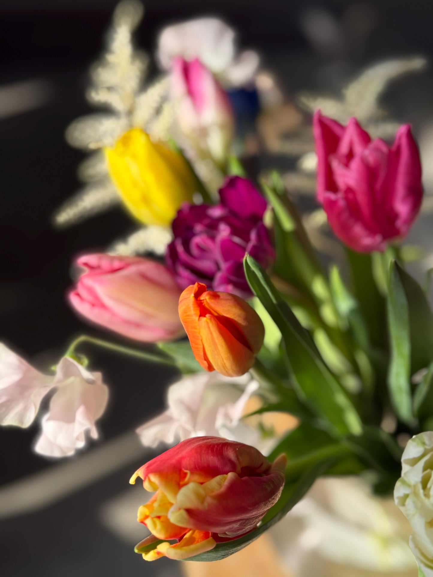 さかもと生花園の厳選チューリップ