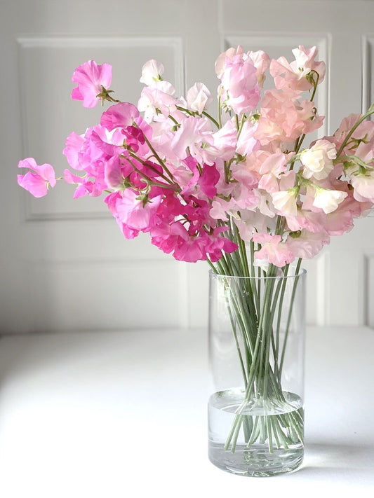 春の訪れ厳選スイートピー