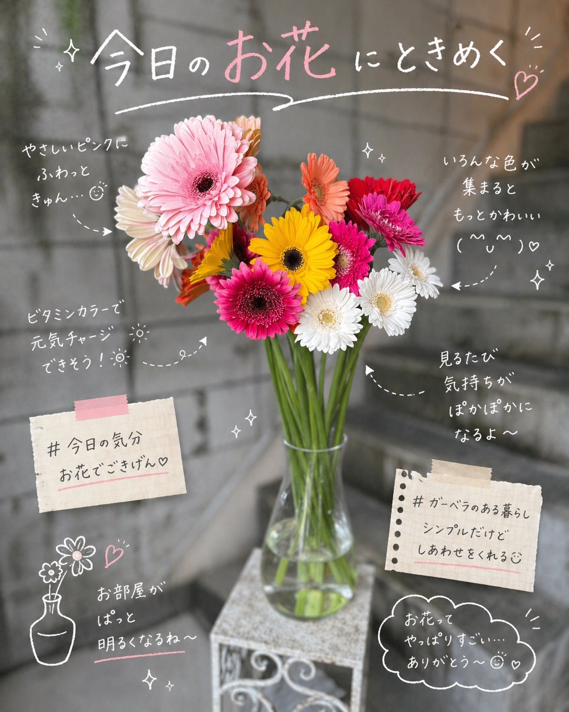 さかもと生花園厳選 ガーベラ【4月のお花】