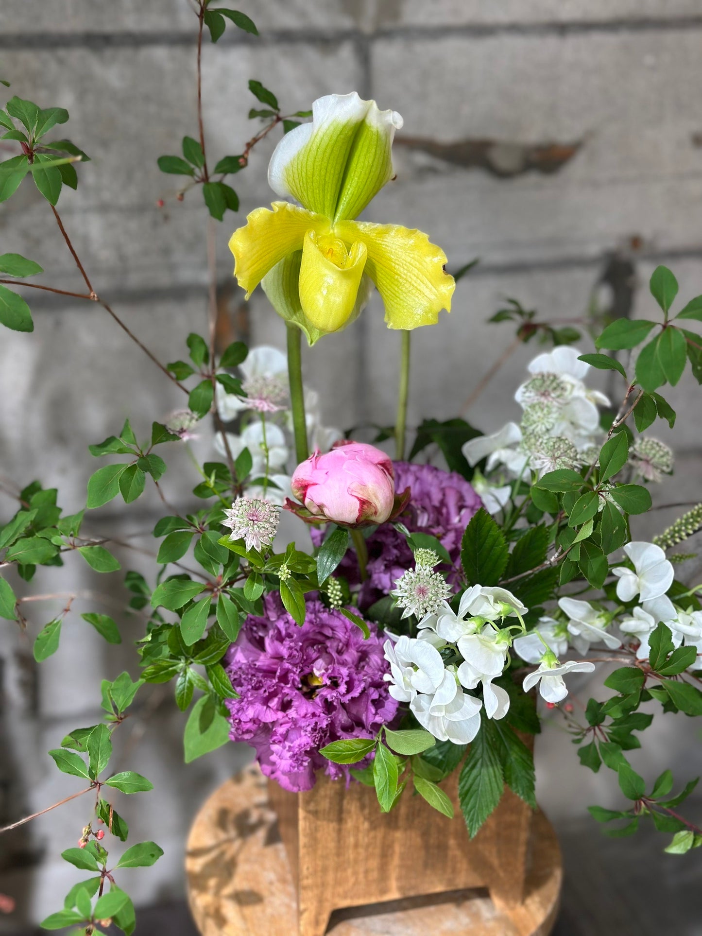 【姫路市内限定】お試し定期花