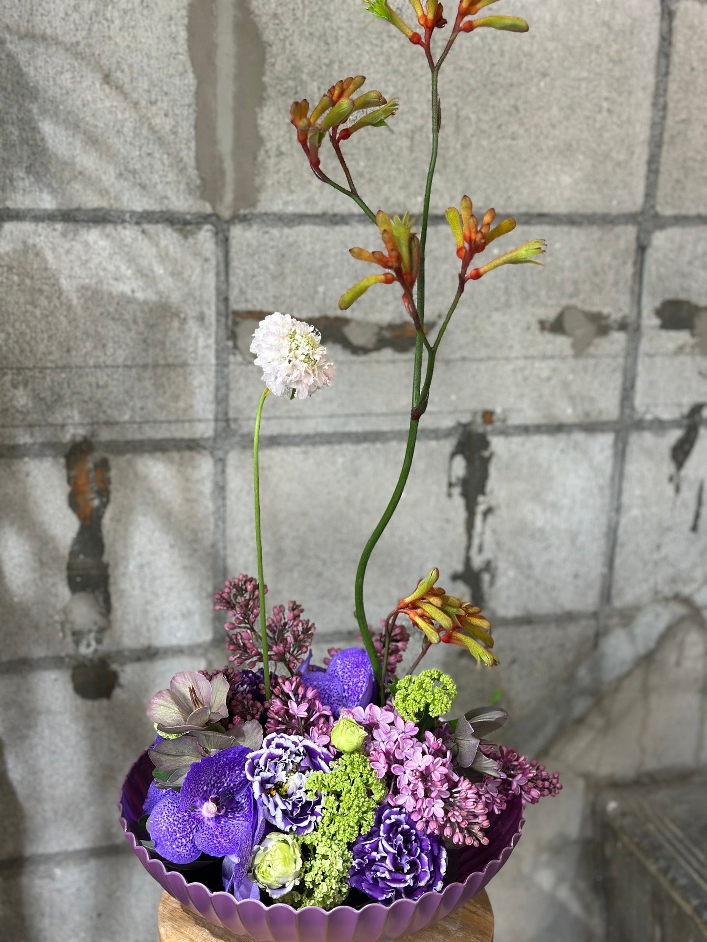 【姫路市内限定】お試し定期花