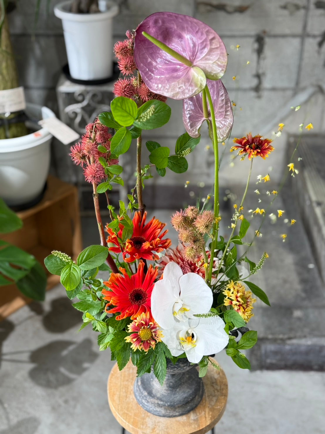 【姫路市内限定】お試し定期花