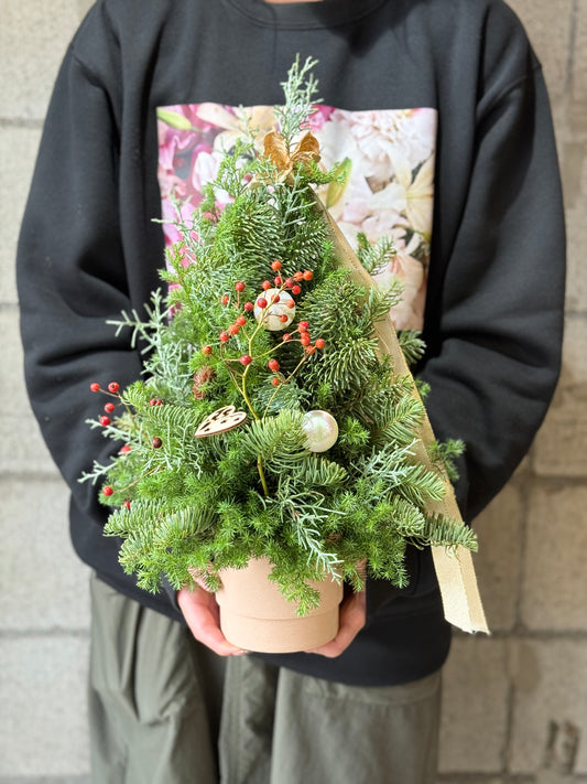 Xmas ツリーアレンジメント