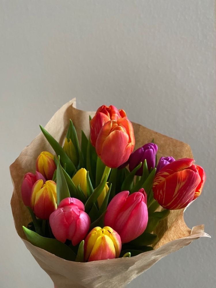 さかもと生花園の厳選チューリップ