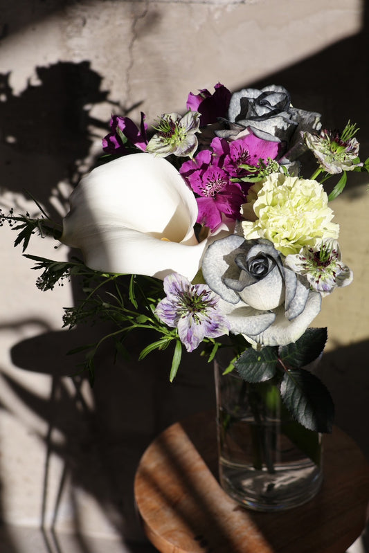 【定期便】3,300円コース　3か月