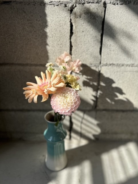 【定期便】3,300円コース　3か月