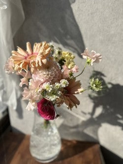 【定期便】3,300円コース　3か月